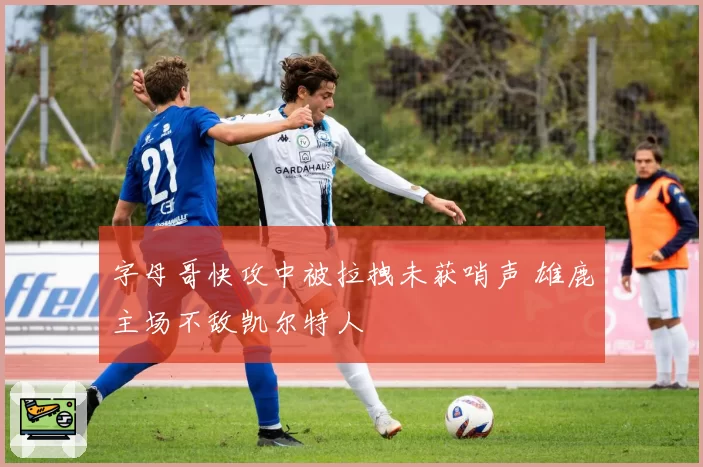 字母哥快攻中被拉拽未获哨声 雄鹿主场不敌凯尔特人